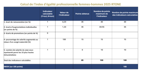 Résultats Rtone index égalité femmes hommes