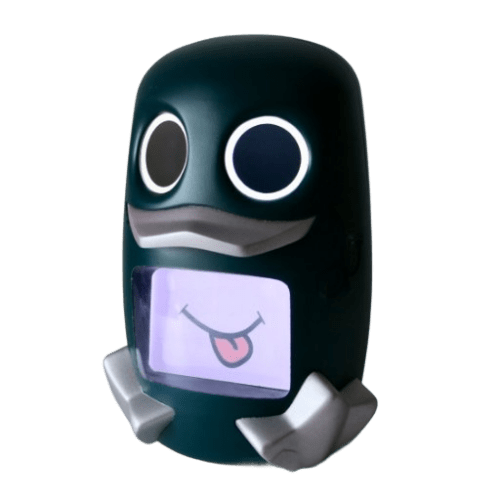 popotte duck projet client